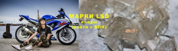 гидропоника Иннополис