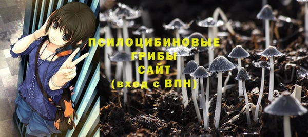 ALPHA-PVP Инсар