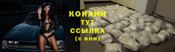 ALPHA-PVP Инсар