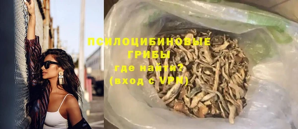 ALPHA-PVP Инсар