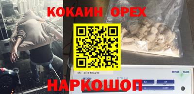 ECSTASY Заводоуковск