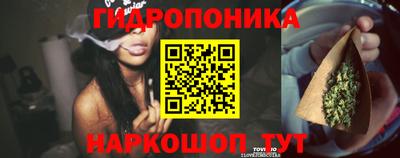 ECSTASY Заводоуковск