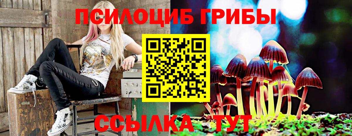 Псилоцибиновые грибы мицелий Мирный