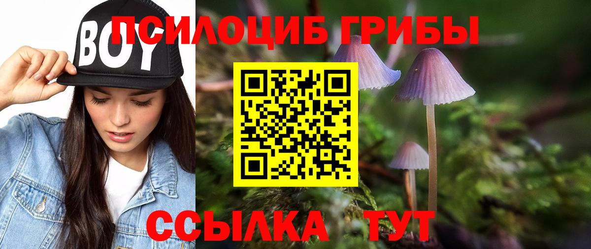Мирный  Галлюциногенные грибы Cubensis  Псилоцибиновые грибы Psilocybe  Вход с VPN 