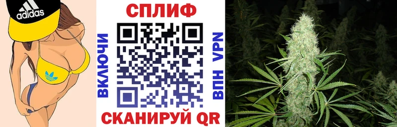 Купить  Мирный  Каннабис планчик 